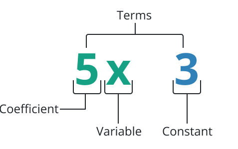 Algebraic Expressions Chapter Notes | Mathematics for Grade 10