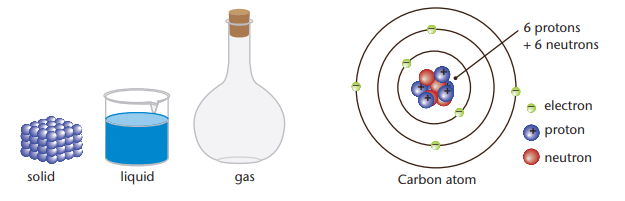 Forces Chapter Notes | Technical Science for Grade 10