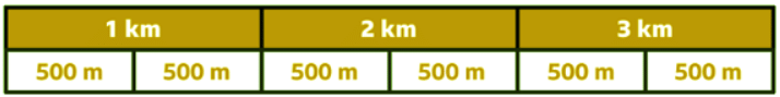 Converting metric units | Year 5 Mathematics