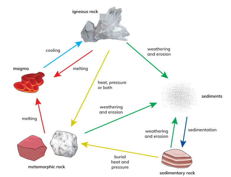 Rocks, The Rock Cycle and Soil Chapter Notes | Year 6 Science IGCSE (Cambridge)