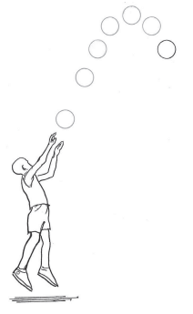 Forces Chapter Notes | Technical Science for Grade 10