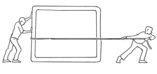 Forces Chapter Notes | Technical Science for Grade 10