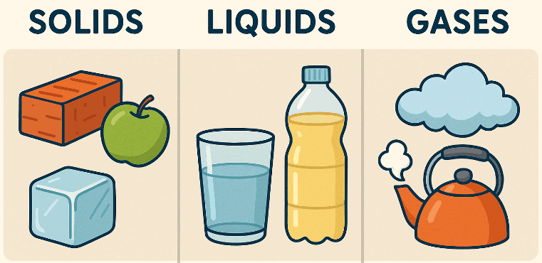 Solids, Liquids and Gases Chapter Notes | Natural Science and Technology (Grade 6-A)