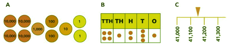 Order numbers up to 100,000 | Year 5 Mathematics