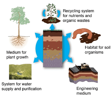 What is soil made from? | Year 3 Science