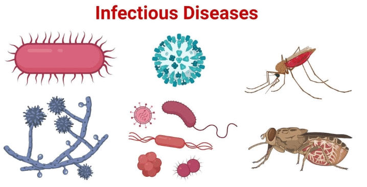 Living Things Chapter Notes | Year 4 Science IGCSE (Cambridge) - Class 4