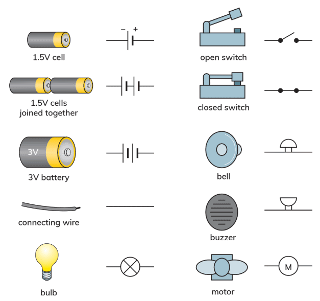 Forces and Electricity Chapter Notes | Year 6 Science IGCSE (Cambridge)