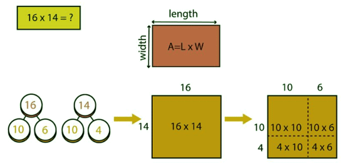 Multiplication using the area model/grid method | Year 5 Mathematics
