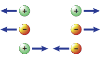 Forces Chapter Notes | Technical Science for Grade 10