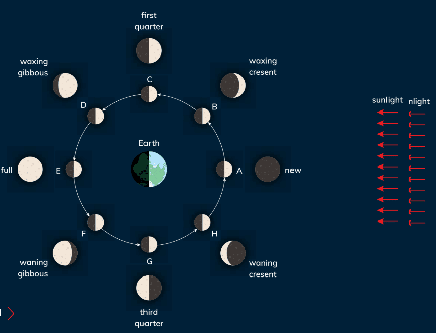Light and The Solar System Chapter Notes | Year 6 Science IGCSE (Cambridge)