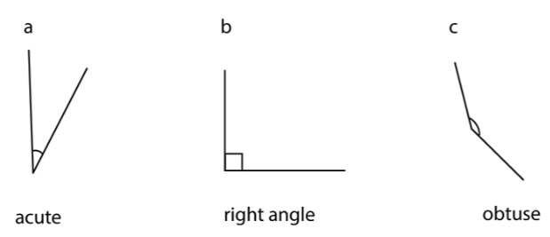 Compare and order angles | Year 5 Mathematics