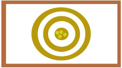 What are accuracy and Precision | Year 5 Science