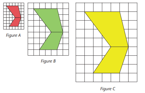 Transformations (Term 4) Chapter Notes | Mathematics for Grade 6