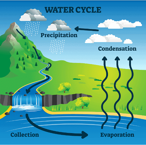 The water cycle | Year 4 Science