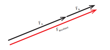 Forces Chapter Notes | Technical Science for Grade 10