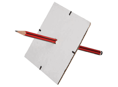 Probability (Term 4) Chapter Notes | Mathematics for Grade 6