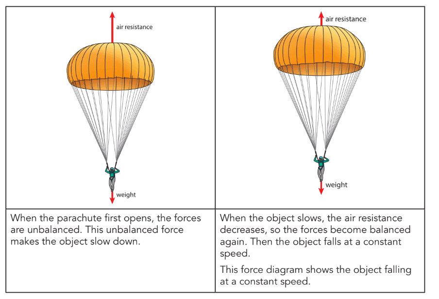 Forces and Energy Chapter Notes | Year 8 Science IGCSE (Cambridge) - Class 8