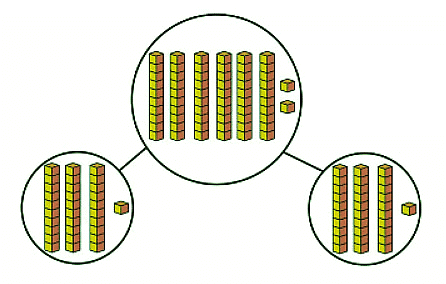 Finding third, quarter and half | Year 4 Mathematics