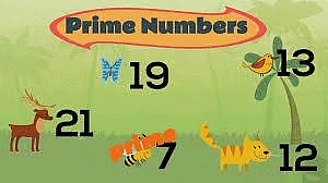 Prime numbers | Year 6 Mathematics
