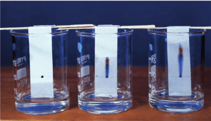 Properties of Materials Chapter Notes | Year 8 Science IGCSE (Cambridge)