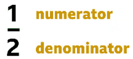 Finding third, quarter and half | Year 4 Mathematics
