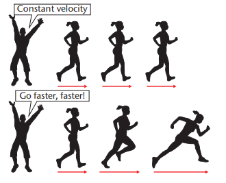 Motion in one Dimension Chapter Notes | Technical Science for Grade 10