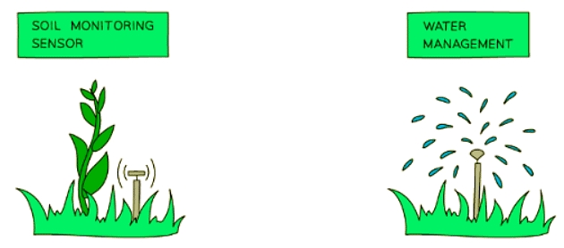 Ensuring Food Supply | Biology for GCSE/IGCSE - Class 10