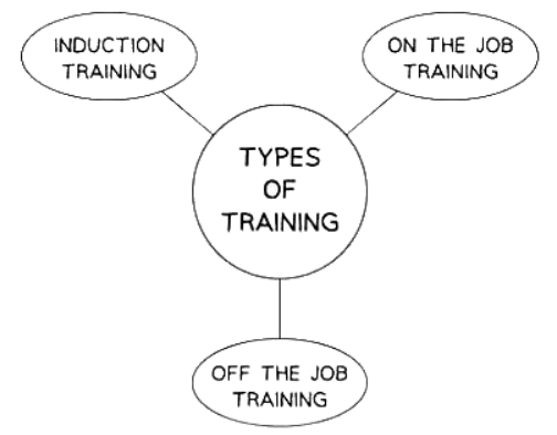 Types of Training | Business Studies for GCSE/IGCSE - Class 10