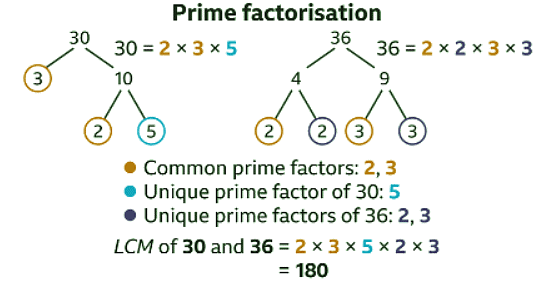 What is a Common Factor? - Year 7
