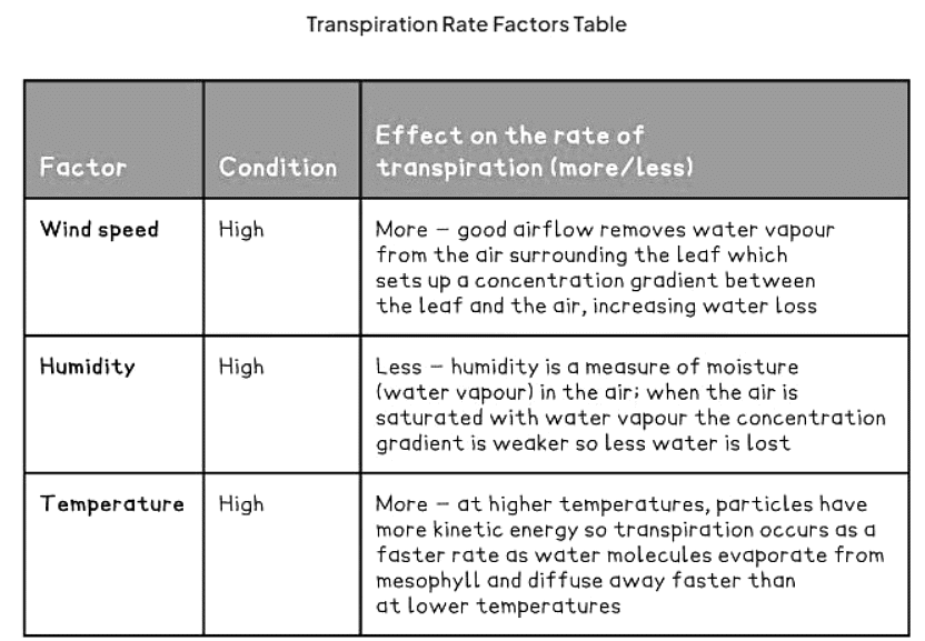 Effects of Temperature, Wind Speed & Humidity | Biology for GCSE/IGCSE - Class 10