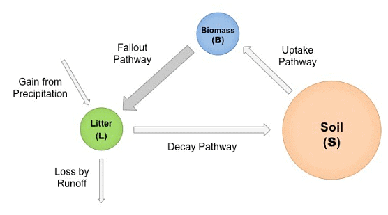 Ecosystem Characteristics | Geography for GCSE/IGCSE - Class 10
