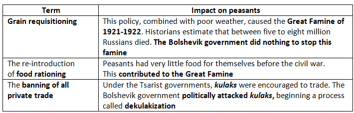 How Far was the New Economic Policy a Success? | History for GCSE/IGCSE - Class 10