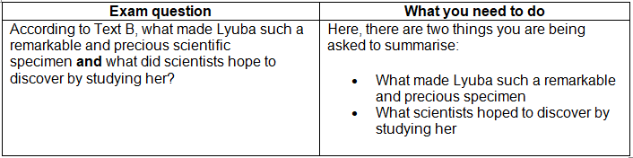 How to summarise in the exam