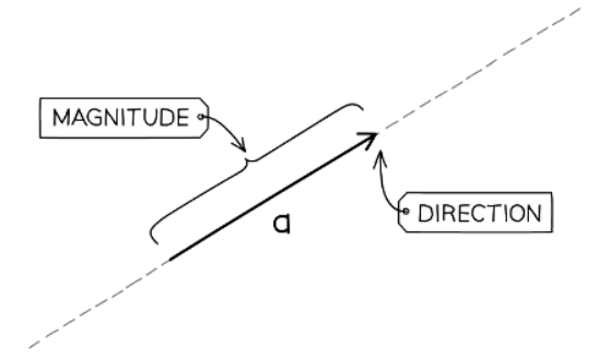Introduction to Vectors | Mathematics for GCSE/IGCSE - Year 10