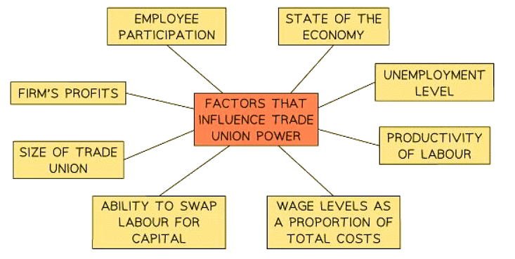 The Role of Trade Unions | Economics for GCSE/IGCSE - Year 11