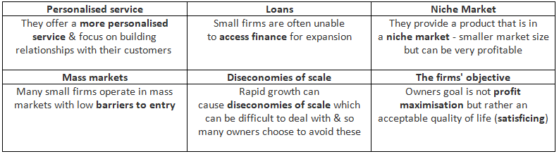 Reasons Why Small Firms Exist 
