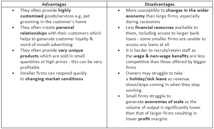 Small Firms Experience Both Advantages & Disadvantages When Compared With Large Firms