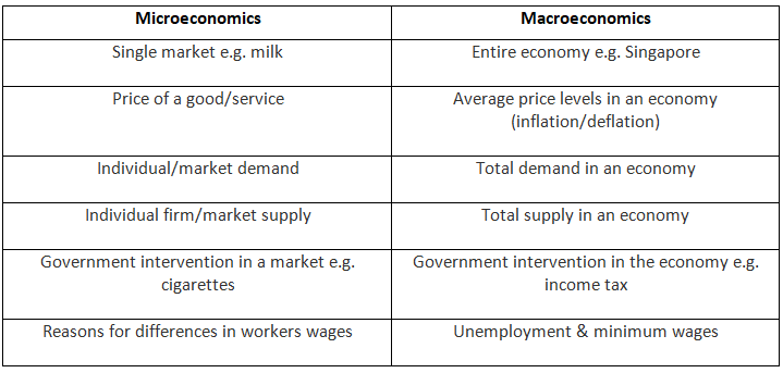 Differences Between Micro & Macro | Economics for GCSE/IGCSE - Class 10