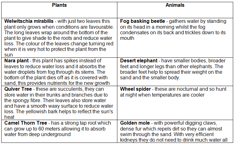 Deforestation of Tropical Rainforest | Geography for GCSE/IGCSE - Class 10