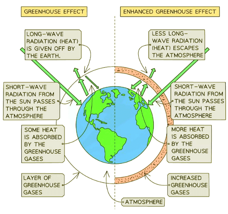 Other Pollution | Biology for GCSE/IGCSE - Class 10