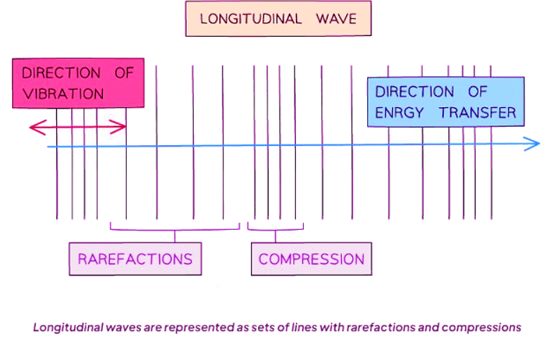 Transverse & Longitudinal Waves | Physics for GCSE/IGCSE - Class 10