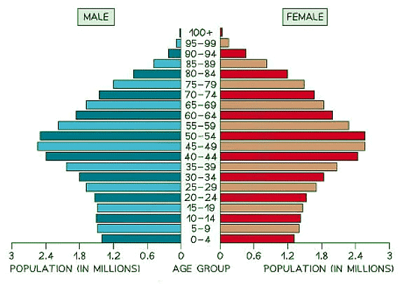 Data Presentation | Geography for GCSE/IGCSE - Class 10