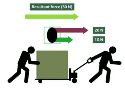 Force Diagrams and Resultant Forces - Year 7