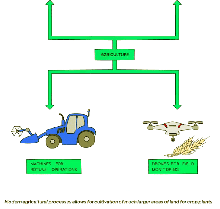 Ensuring Food Supply | Biology for GCSE/IGCSE - Class 10