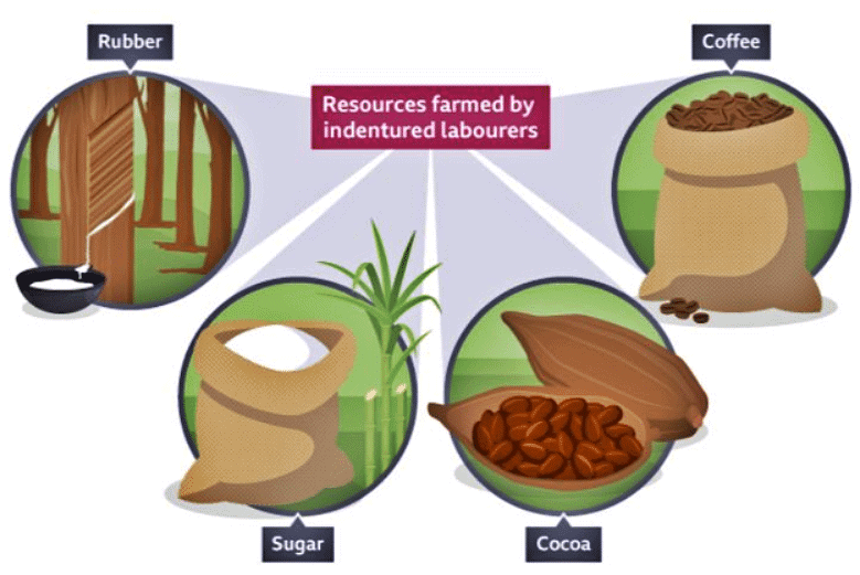 From abolition to indentured labour