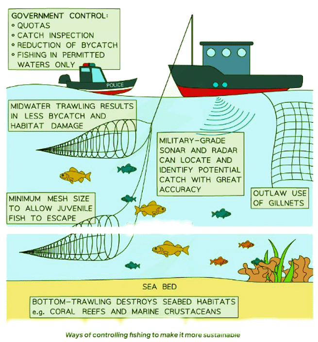 Sustainability | Biology for GCSE/IGCSE - Class 10