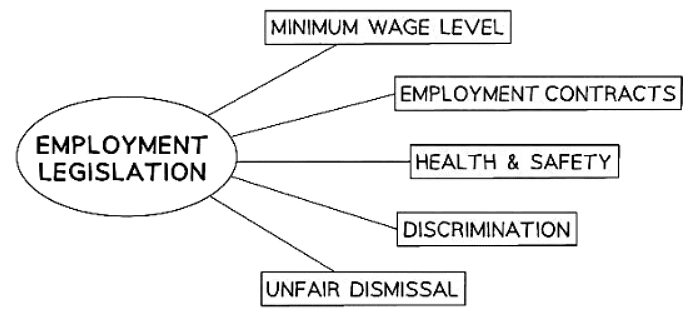The Impact of Legislation on Employment | Business Studies for GCSE/IGCSE - Class 10