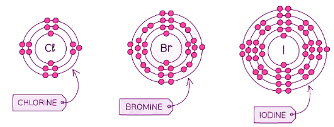 Group VII Properties | Chemistry for GCSE/IGCSE - Class 10