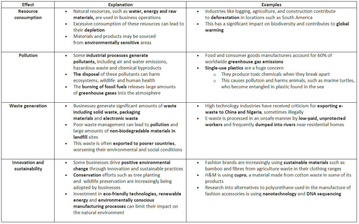 Environmental Concerns: Externalities | Business Studies for GCSE/IGCSE - Class 10
