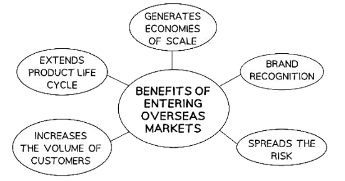 Entering Foreign Markets | Business Studies for GCSE/IGCSE - Class 10